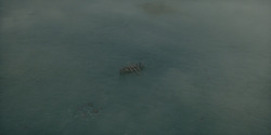 HouseOfTheDragon_3x02-QueensLanding_00647