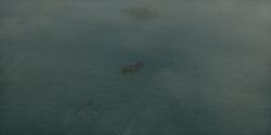 HouseOfTheDragon_3x02-QueensLanding_00649