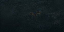 HouseOfTheDragon_3x02-QueensLanding_03402