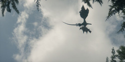 HouseOfTheDragon_3x02-QueensLanding_03733