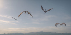 HouseOfTheDragon_3x02-QueensLanding_04206