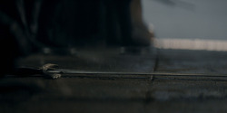 HouseOfTheDragon_3x02-QueensLanding_04825