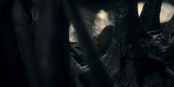 HouseOfTheDragon_3x03-RhaenyraTriumphant_2569