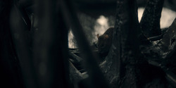 HouseOfTheDragon_3x03-RhaenyraTriumphant_2570