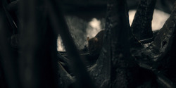 HouseOfTheDragon_3x03-RhaenyraTriumphant_2571