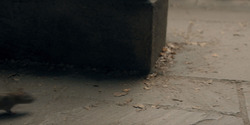 HouseOfTheDragon_3x03-RhaenyraTriumphant_3029