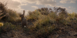 HouseOfTheDragon_3x04-Tumbleton_00002