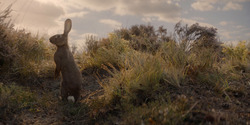 HouseOfTheDragon_3x04-Tumbleton_00004