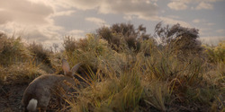 HouseOfTheDragon_3x04-Tumbleton_00007