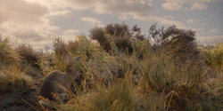 HouseOfTheDragon_3x04-Tumbleton_00008