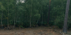 HouseOfTheDragon_3x04-Tumbleton_00954