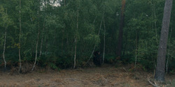 HouseOfTheDragon_3x04-Tumbleton_00956