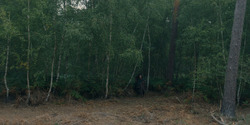 HouseOfTheDragon_3x04-Tumbleton_00957