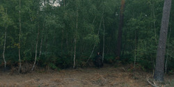 HouseOfTheDragon_3x04-Tumbleton_00958