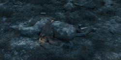 HouseOfTheDragon_3x04-Tumbleton_01251