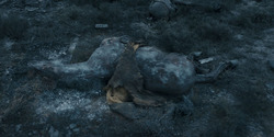 HouseOfTheDragon_3x04-Tumbleton_01252