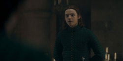 HouseOfTheDragon_3x04-Tumbleton_03677