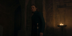 HouseOfTheDragon_3x04-Tumbleton_05339