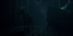HouseOfTheDragon_3x05-UnbowedAndUnbent_0230
