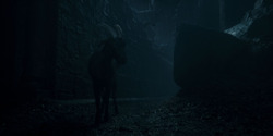 HouseOfTheDragon_3x05-UnbowedAndUnbent_0232