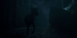 HouseOfTheDragon_3x05-UnbowedAndUnbent_0233