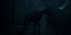 HouseOfTheDragon_3x05-UnbowedAndUnbent_0234