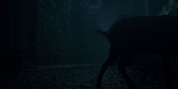 HouseOfTheDragon_3x05-UnbowedAndUnbent_0236