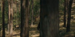 HouseOfTheDragon_3x05-UnbowedAndUnbent_1362