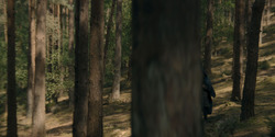 HouseOfTheDragon_3x05-UnbowedAndUnbent_1363