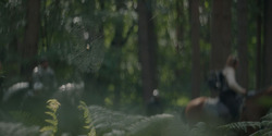 HouseOfTheDragon_3x05-UnbowedAndUnbent_1686
