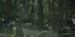 HouseOfTheDragon_3x05-UnbowedAndUnbent_1687