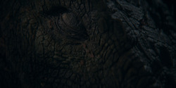 HouseOfTheDragon_3x05-UnbowedAndUnbent_2862