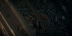 HouseOfTheDragon_3x05-UnbowedAndUnbent_4228