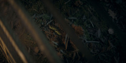 HouseOfTheDragon_3x05-UnbowedAndUnbent_4230
