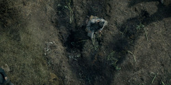 HouseOfTheDragon_3x05-UnbowedAndUnbent_4280