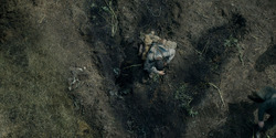 HouseOfTheDragon_3x05-UnbowedAndUnbent_4284