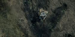 HouseOfTheDragon_3x05-UnbowedAndUnbent_4285