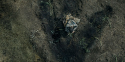 HouseOfTheDragon_3x05-UnbowedAndUnbent_4286