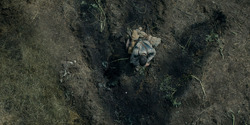 HouseOfTheDragon_3x05-UnbowedAndUnbent_4287