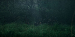 HouseOfTheDragon_3x05-UnbowedAndUnbent_4295