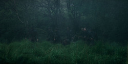 HouseOfTheDragon_3x05-UnbowedAndUnbent_4299