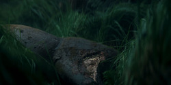 HouseOfTheDragon_3x05-UnbowedAndUnbent_4300