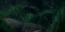 HouseOfTheDragon_3x05-UnbowedAndUnbent_4301