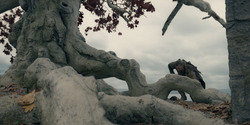 HouseOfTheDragon_3x05-UnbowedAndUnbent_4415