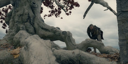HouseOfTheDragon_3x05-UnbowedAndUnbent_4416