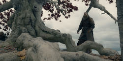 HouseOfTheDragon_3x05-UnbowedAndUnbent_4420