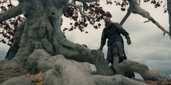 HouseOfTheDragon_3x05-UnbowedAndUnbent_4422