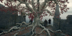 HouseOfTheDragon_3x05-UnbowedAndUnbent_4423