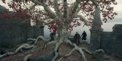 HouseOfTheDragon_3x05-UnbowedAndUnbent_4424