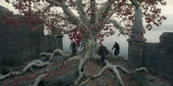 HouseOfTheDragon_3x05-UnbowedAndUnbent_4425